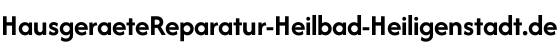 Hausgeräte Reparatur Heilbad Heiligenstadt